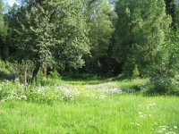 juni2007 077